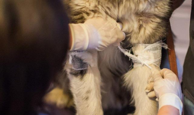 蘇州近期街邊情況，自然美景的心靈之旅體驗(yàn)紀(jì)實(shí)