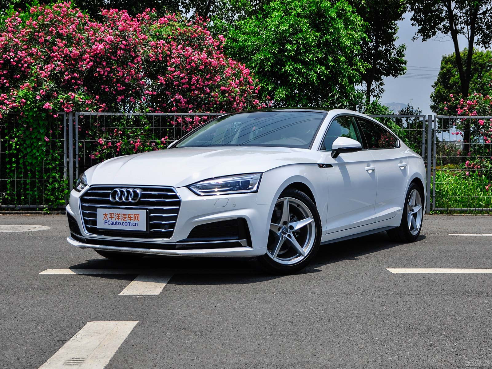 新款?yuàn)W迪A5價(jià)格及圖片，自然美景探索之旅的絕佳選擇