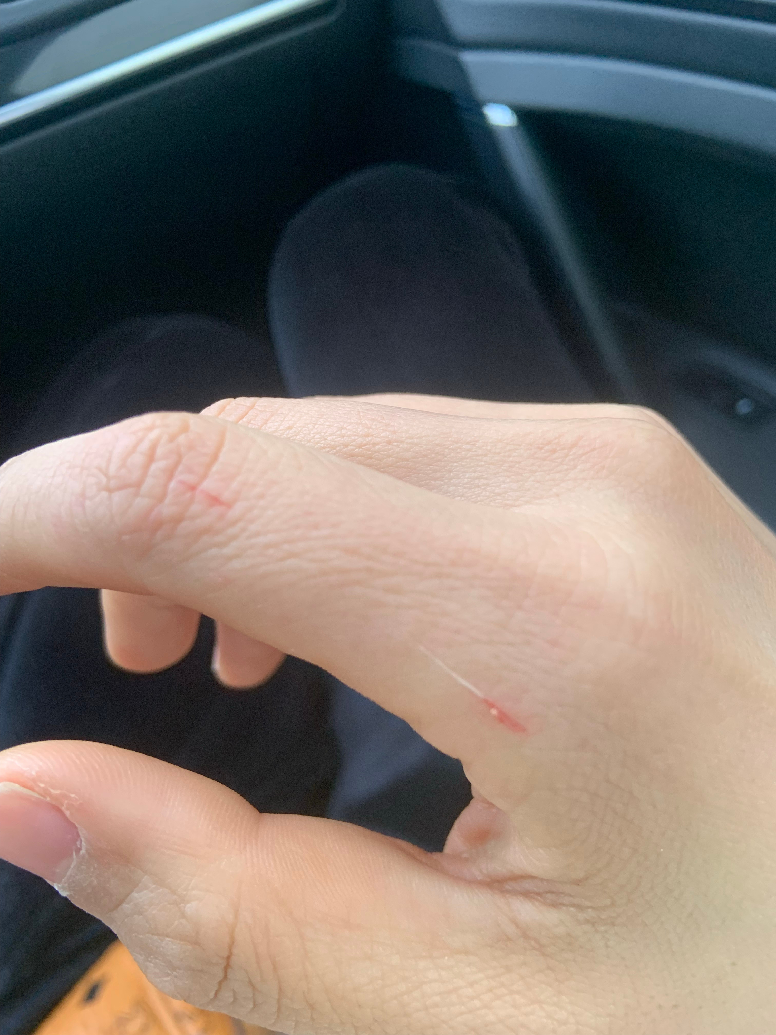 最新口子，開啟學習之旅，擁抱變化的力量