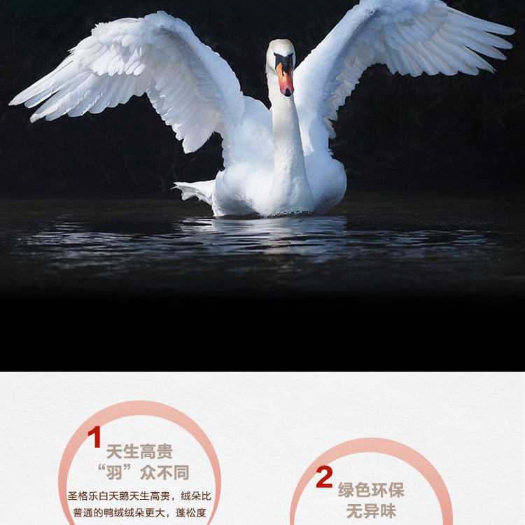 探索小巷羽絨寶藏，90白鵝絨價格與溫暖故事