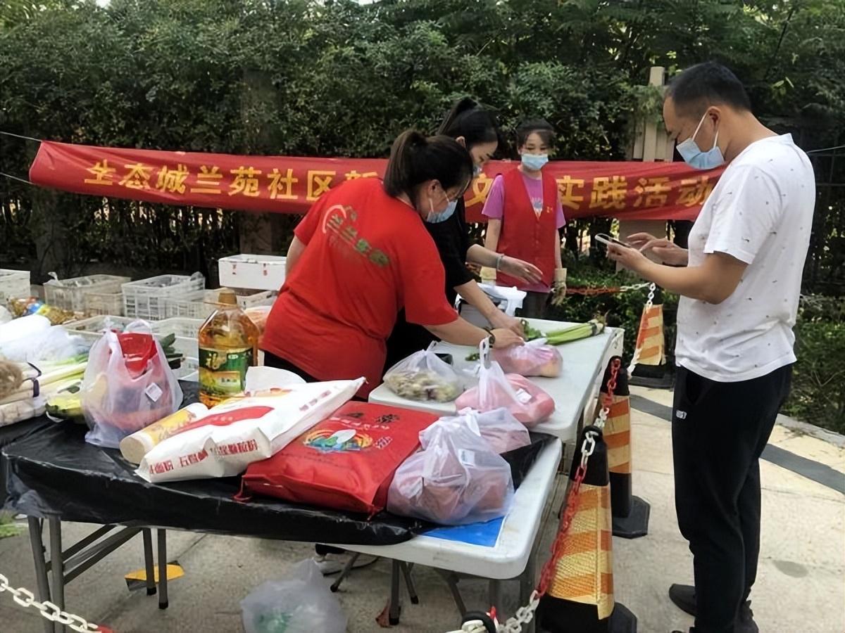 保利華潤紫云價格深度解析，探尋背后的故事與地位影響