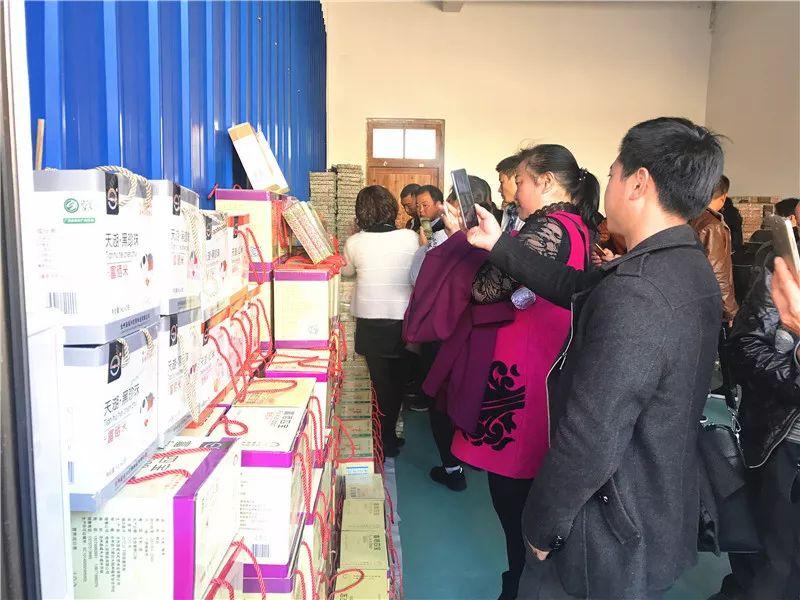 最新職業(yè)資訊，洞悉行業(yè)趨勢與人才需求洞察