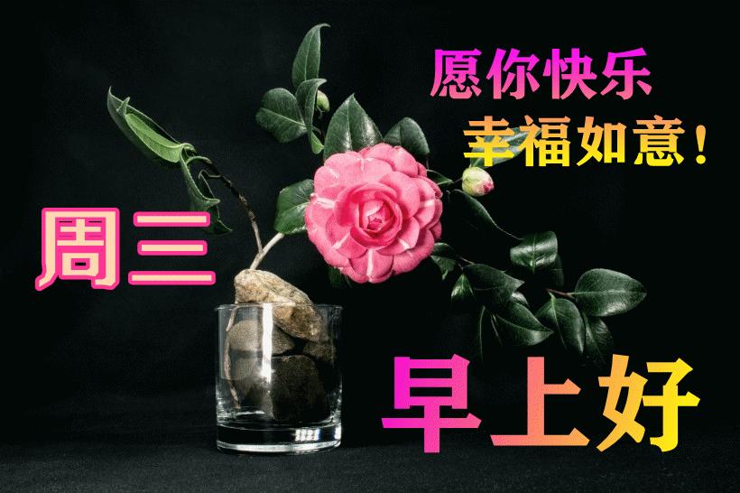 最新早晨問(wèn)候動(dòng)態(tài)表情包，溫馨問(wèn)候，從表情開始！