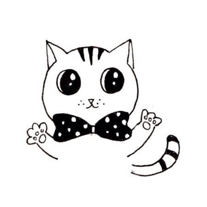 喵咪動漫，初學(xué)者與進(jìn)階用戶的技能學(xué)習(xí)指南