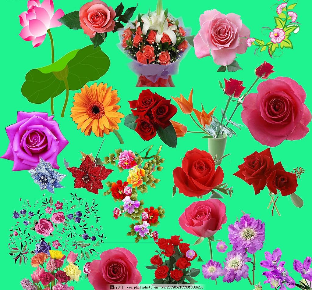 最新花款下載，愛(ài)與陪伴的溫馨之旅