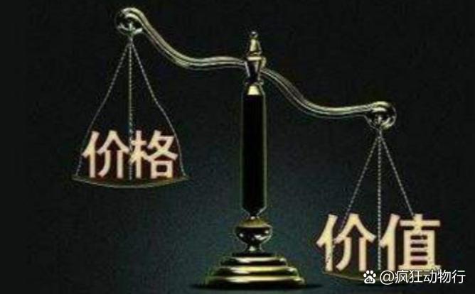 價格與價值解析，差異何在？