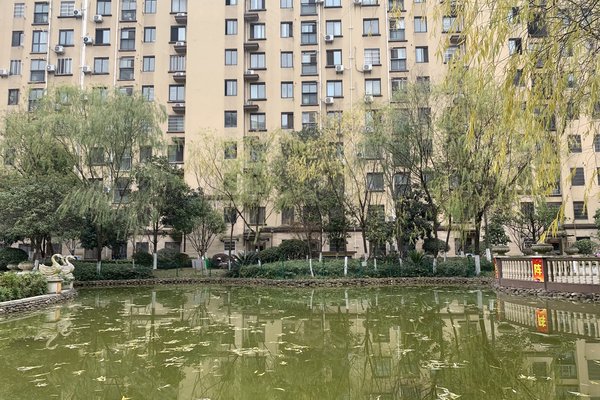 中豪明珠城最新價格，時代印記與城市的脈動