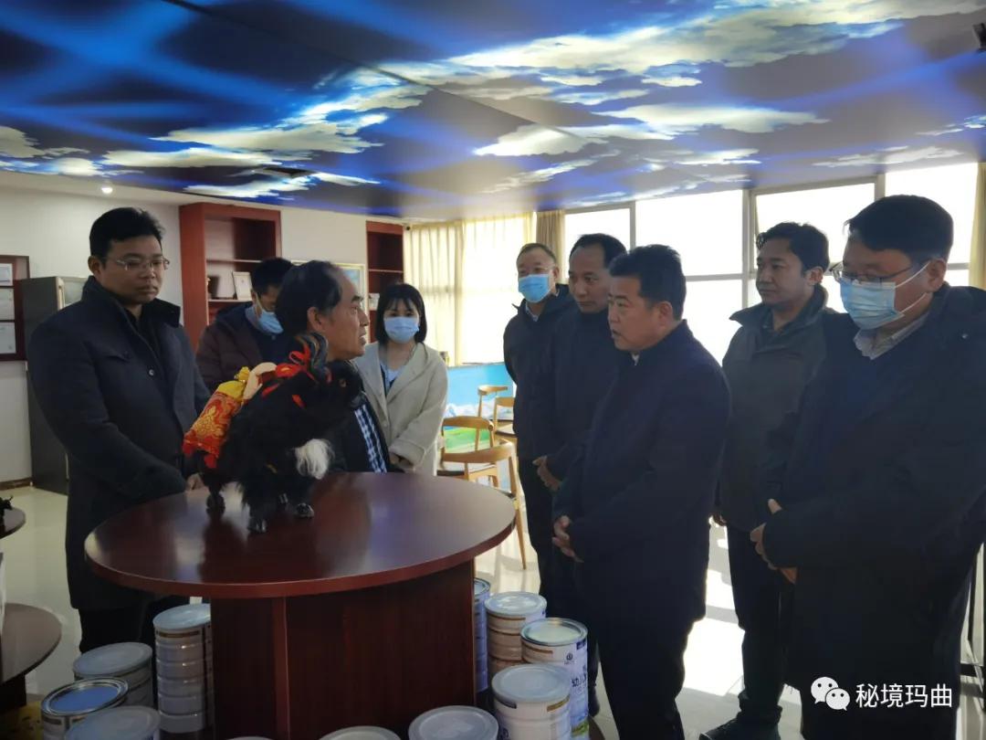 高原之寶上市，學(xué)習(xí)、蛻變與自信的輝煌之旅