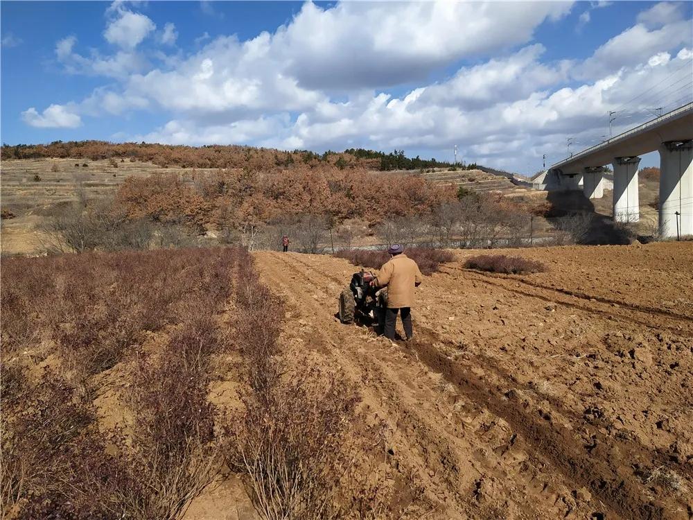 揭秘衡陽張家山規(guī)劃更新，小巷風情與隱藏小店的獨特魅力