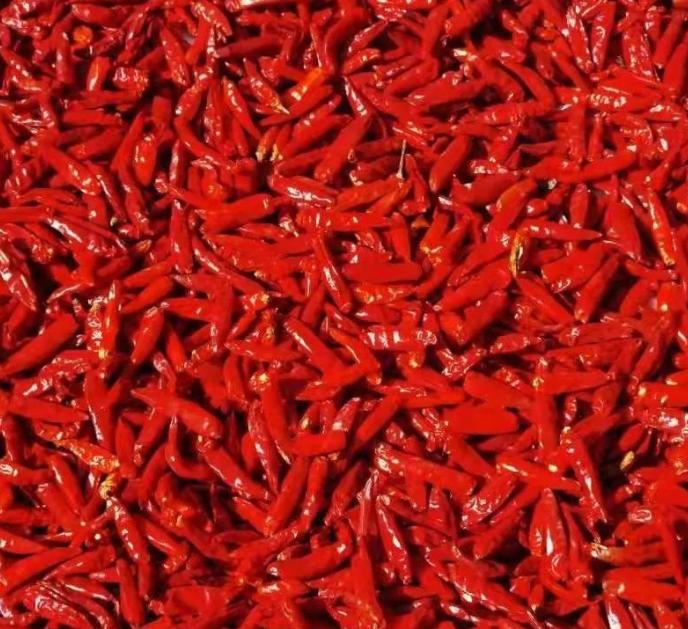 辣椒干市場走勢與行業(yè)深度分析，行情概覽與產(chǎn)業(yè)洞察