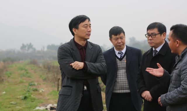 錦富技術(shù)最新動態(tài)更新，最新消息匯總