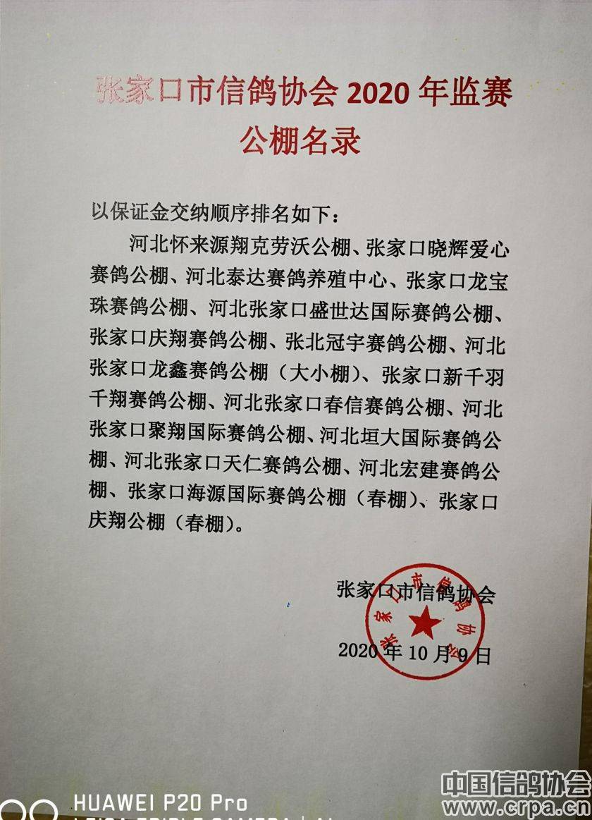 東光信鴿協(xié)會最新通告，小巷深處的獨特風(fēng)味揭秘與信鴿活動更新通知