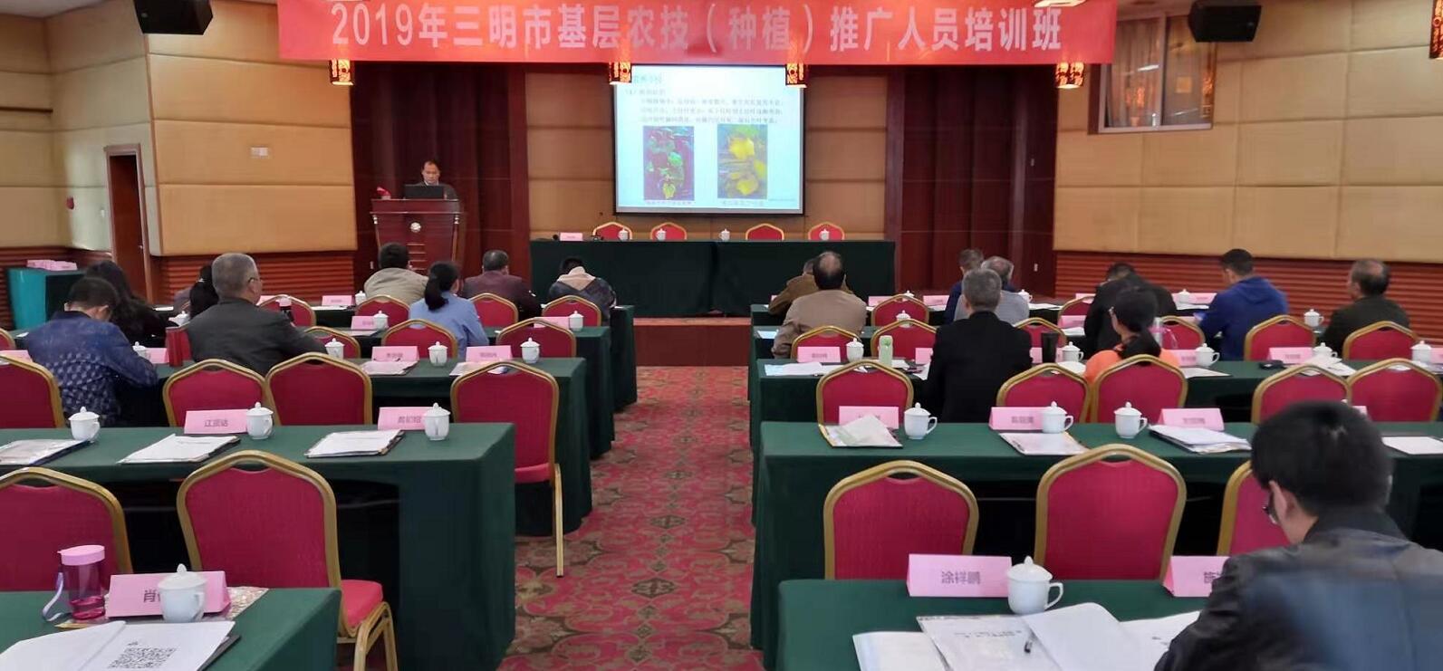 豇豆最新，廚房中的友情與家的溫馨