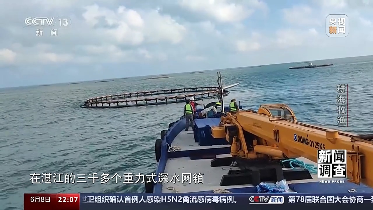 最新海水養(yǎng)殖,最新海水養(yǎng)殖，一種前沿農(nóng)業(yè)技術(shù)的觀點(diǎn)分析