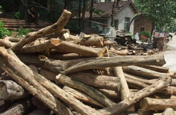 今天黃金價(jià)格動態(tài)及小巷寶藏探索揭秘