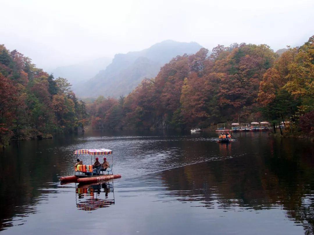 心動瞬間，愛情與生活的美妙交匯