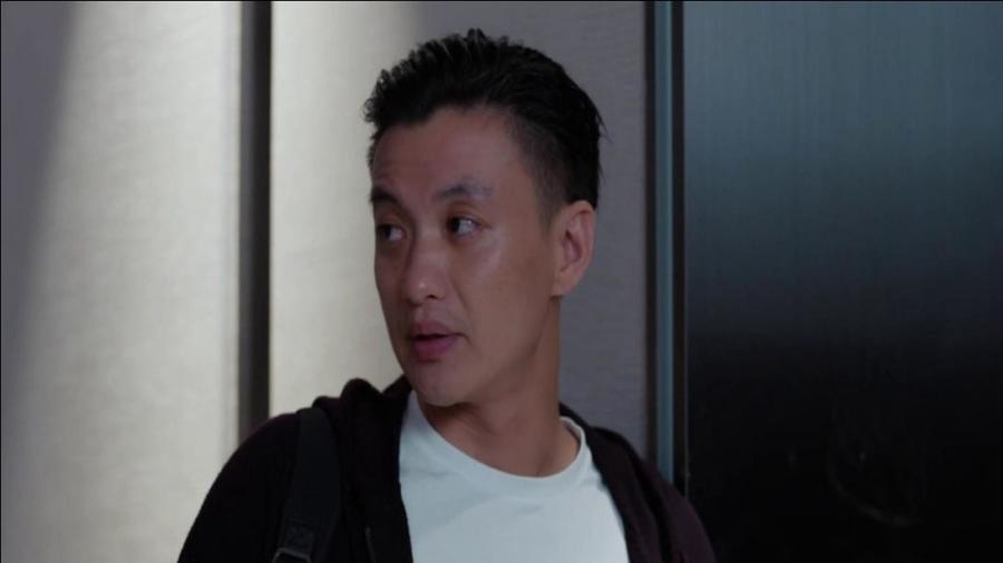 郭鑫年最新動態(tài)揭秘，小巷特色小店探索之旅