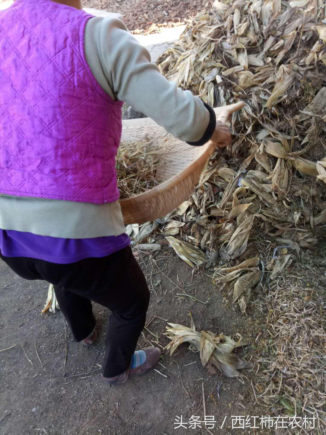 彬縣撤縣設(shè)區(qū)最新進(jìn)展，最新動(dòng)態(tài)更新