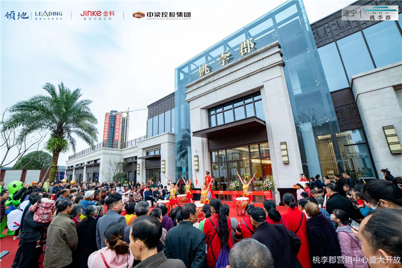 遂寧北濱郡府最新動態(tài)，小巷深處的獨特風味