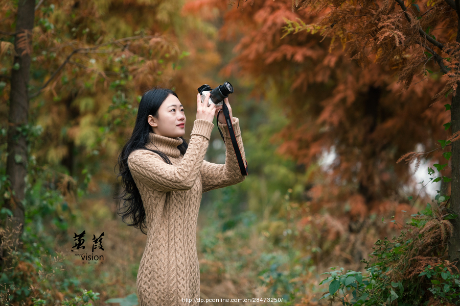 伊人在線電影，探索現(xiàn)代網(wǎng)絡(luò)影視的新境界