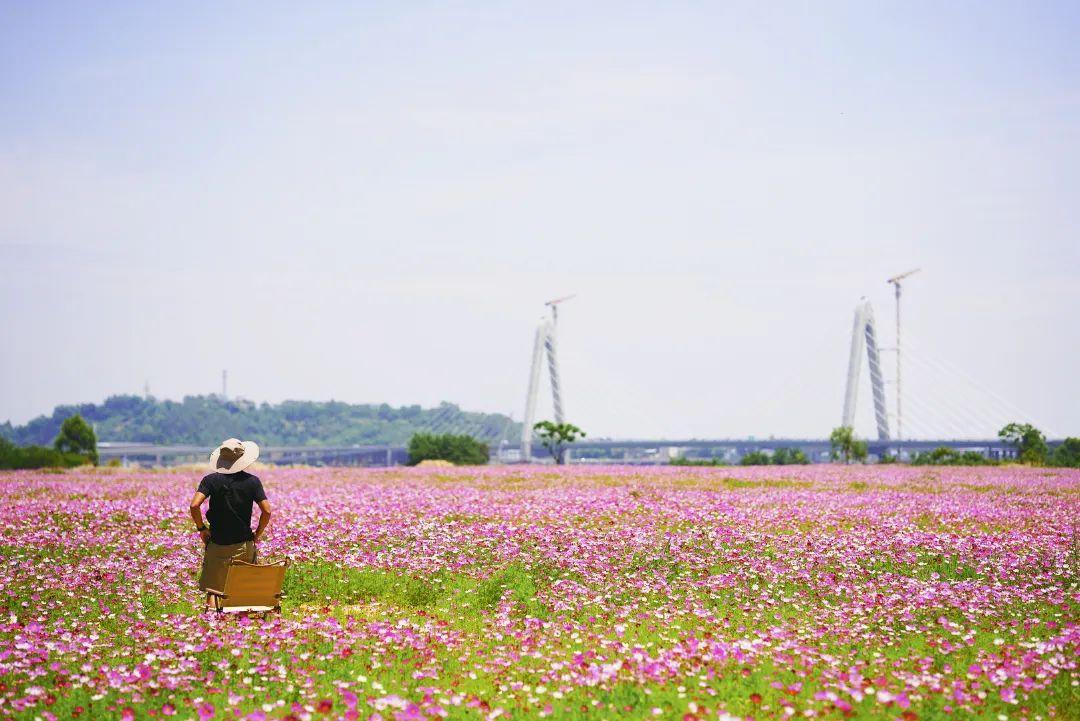 陳小北聚焦科技前沿，引領(lǐng)創(chuàng)新潮流新動(dòng)態(tài)