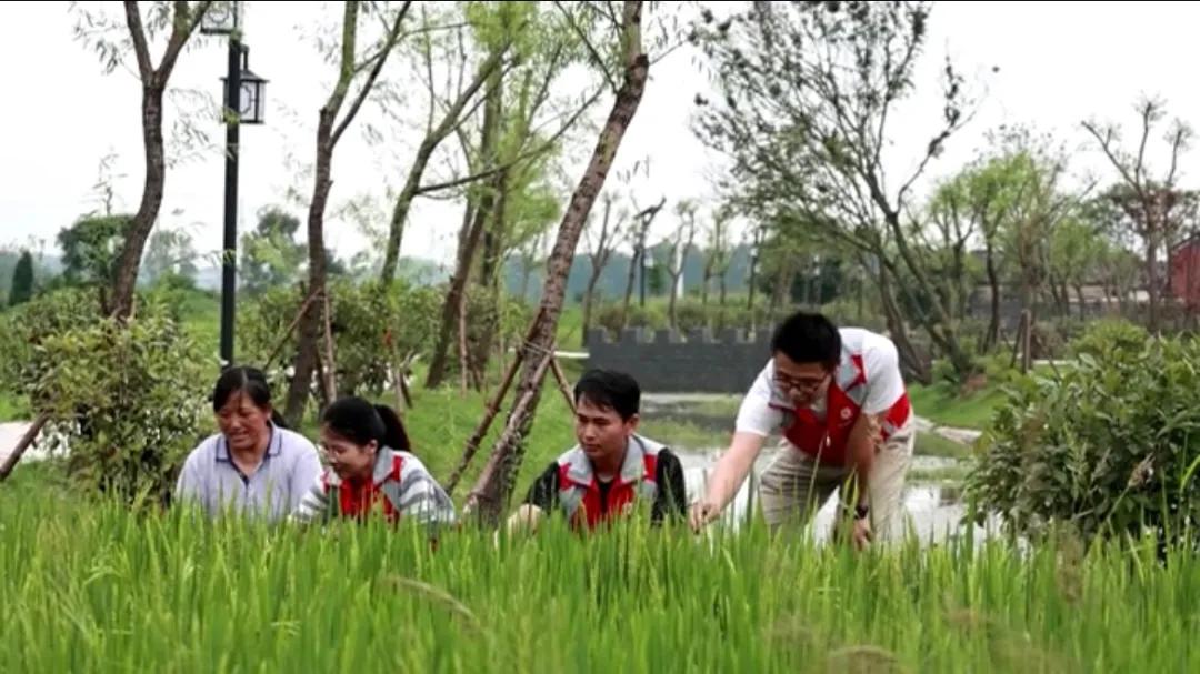 曲陽縣城最新招聘信息揭秘，小巷中的獨特小店等你來探索！