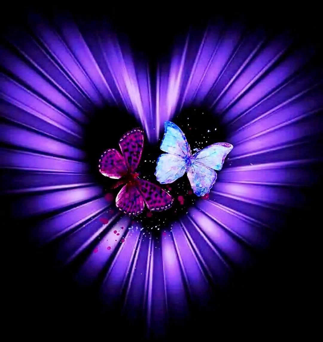 最新情感交流圈，學(xué)習(xí)、成長與自信的力量之源