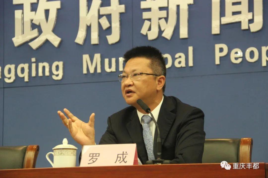 豐都新聞快訊，日常溫情與陪伴的瞬間