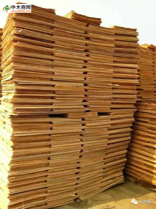 科技革新引領(lǐng)板皮廠行情，開(kāi)啟板材加工新時(shí)代