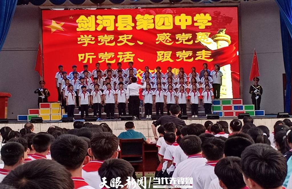 青蛙與狗的泳池挑戰(zhàn)，揭秘游泳比賽背后的故事，青蛙夢工廠的秘密探索