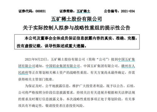 南方稀土股票，小巷中的隱秘寶藏，探索投資魅力的未知之旅