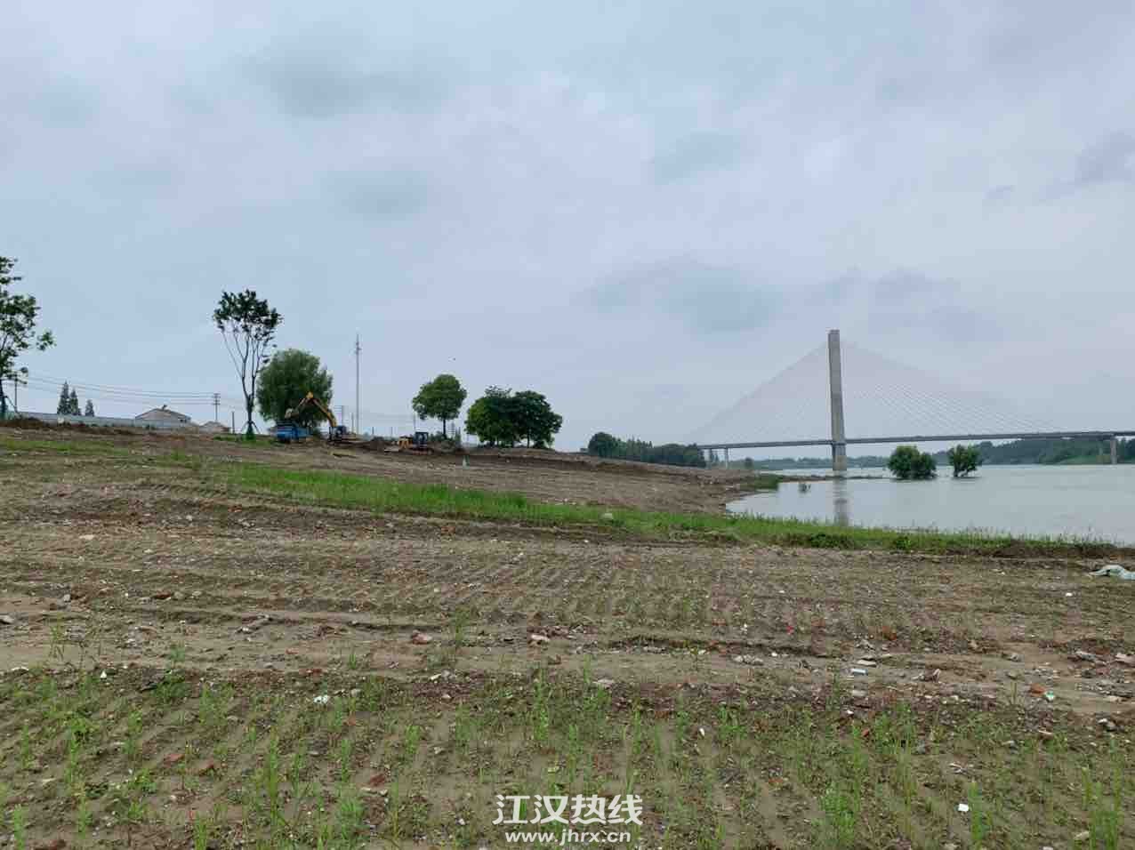 仙桃江灘公園最新動態(tài)更新