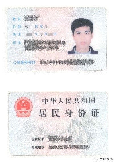 最新證照，友情與陪伴的溫馨故事之旅