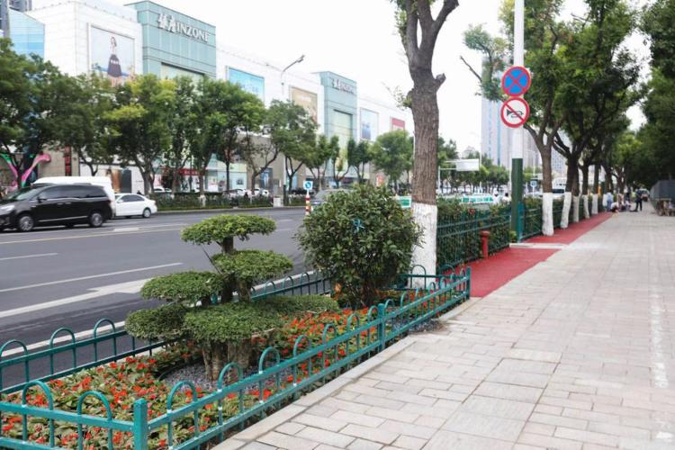 濰坊市奎文區(qū)改造工程，自然美景的探索之旅