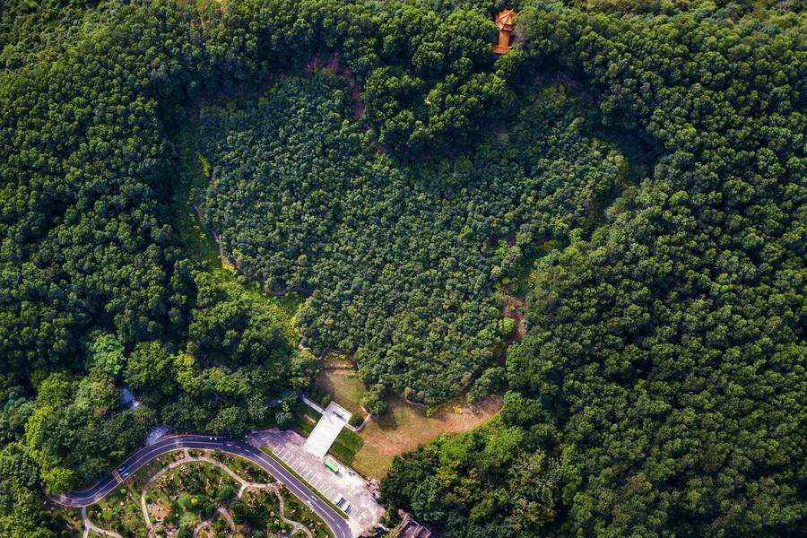 香港演員林，溫馨日常的點(diǎn)滴記錄