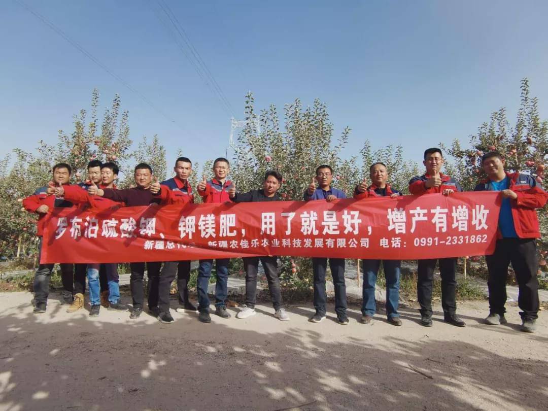 新疆國投羅鉀最新動態(tài)，全面指南與最新發(fā)展概述