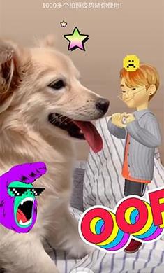 崽崽最新版下載，一段充滿愛(ài)與陪伴的溫馨旅程