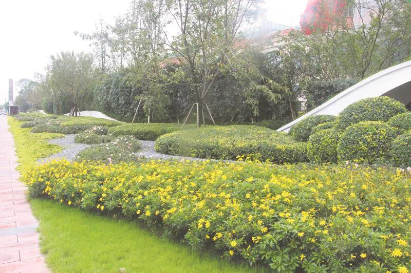 嬢王演員的自然之旅，邂逅美景，尋找內(nèi)心平和之道