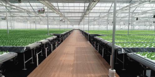 劉東強(qiáng)新動(dòng)態(tài)，時(shí)代浪潮中的矚目焦點(diǎn)人物