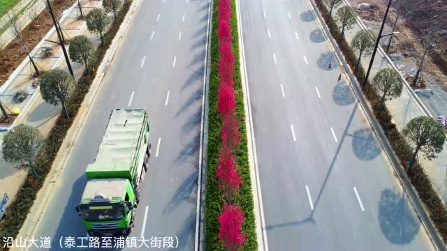 關(guān)花大道最新進展，矚目盛景呈現(xiàn)！