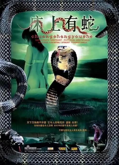 最新蛇片，蛻變的旅程，召喚自信與成就感的冒險之旅