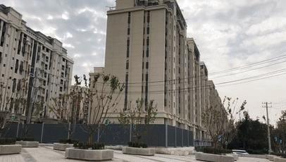 趙村最新動(dòng)態(tài)，鄉(xiāng)村振興新篇章開啟