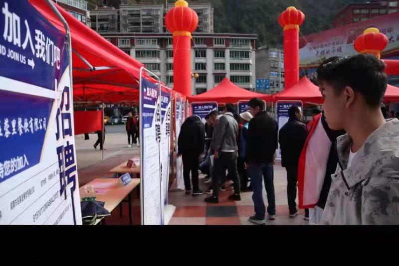 青白江招聘信息探索，小巷中的職業(yè)機(jī)遇