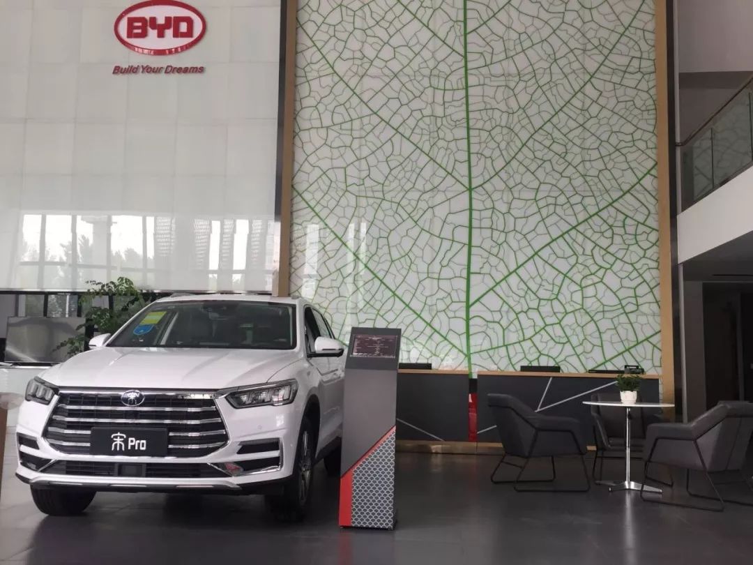 重磅更新，比亞迪最新招聘信息揭秘???