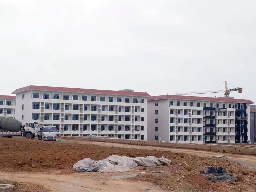 甘谷新聞，大石車禍最新進(jìn)展及觀點(diǎn)論述深度解析