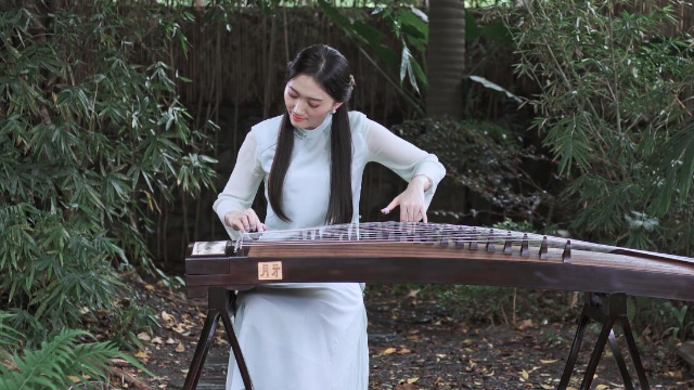 抖音最新琵琶演奏，古典與現(xiàn)代的完美融合之美