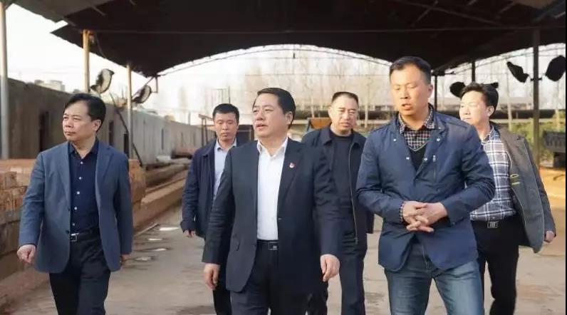 商丘王仲田最新動態(tài)，探索自然美景的旅行，尋求內(nèi)心平和之旅