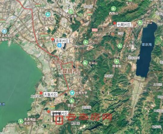 呈貢區(qū)發(fā)展動態(tài)，巷弄深處的驚喜探索特色小店發(fā)展消息