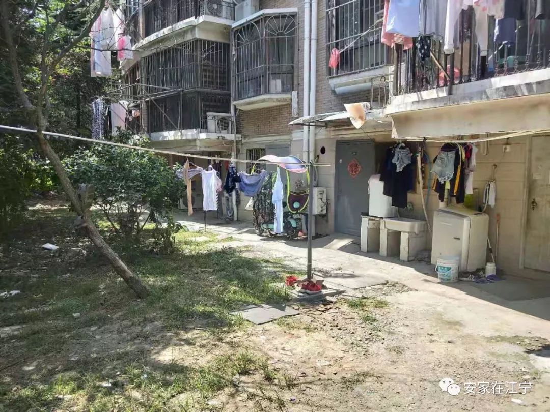 最新大雜亂時代，混沌與秩序的重建之路