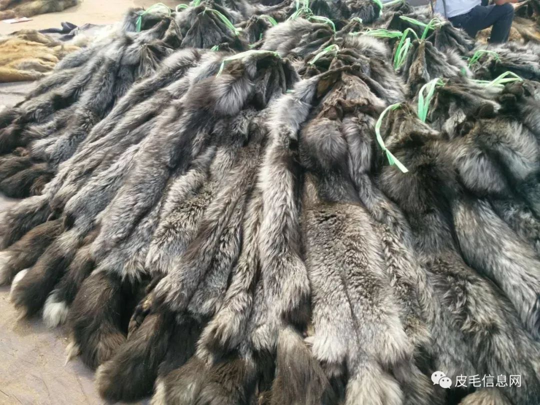 貉皮尚村最新價(jià)格，小巷中的時(shí)尚皮草寶藏探索